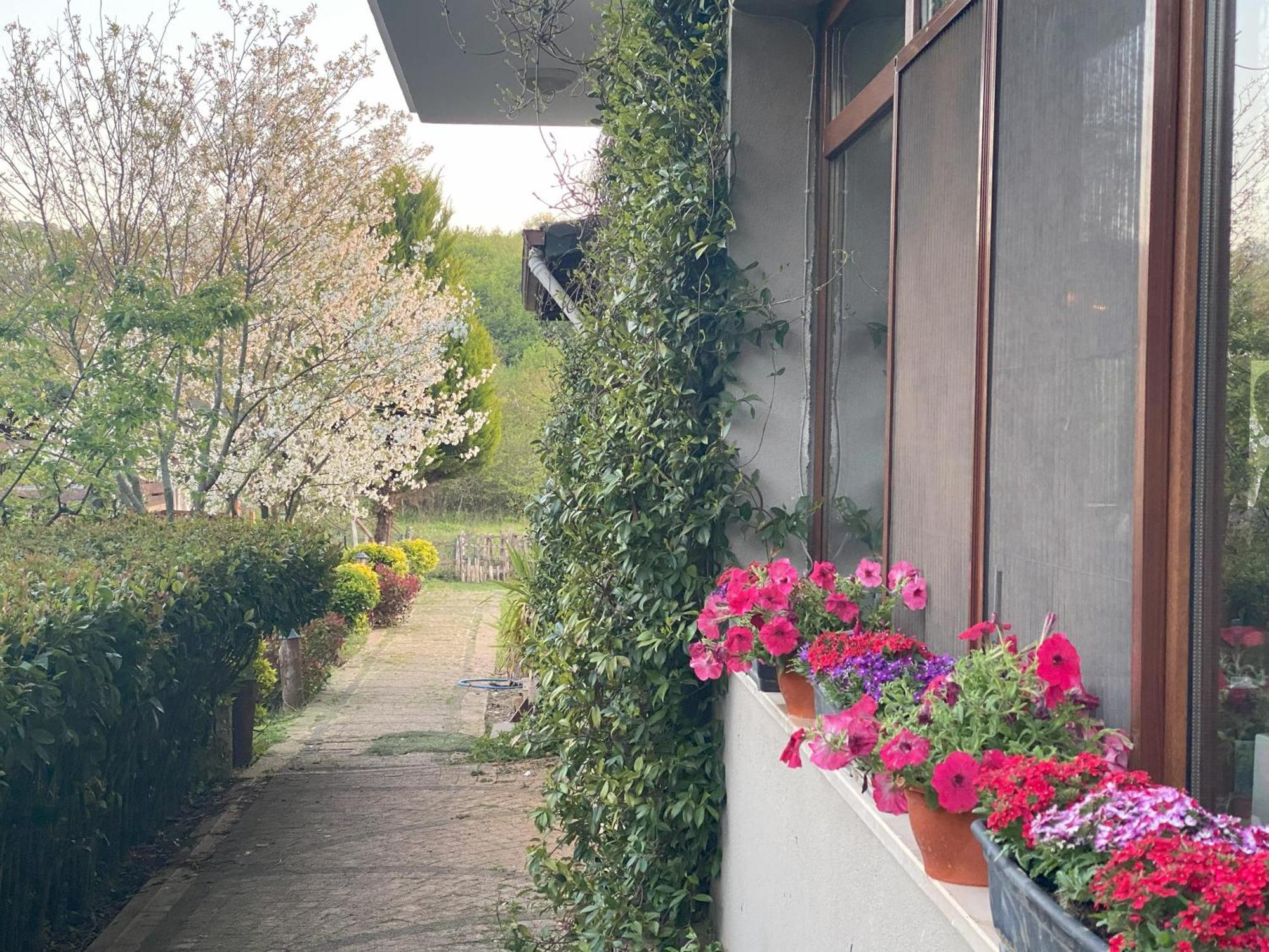 Kerpe Diem Otel Exterior photo
