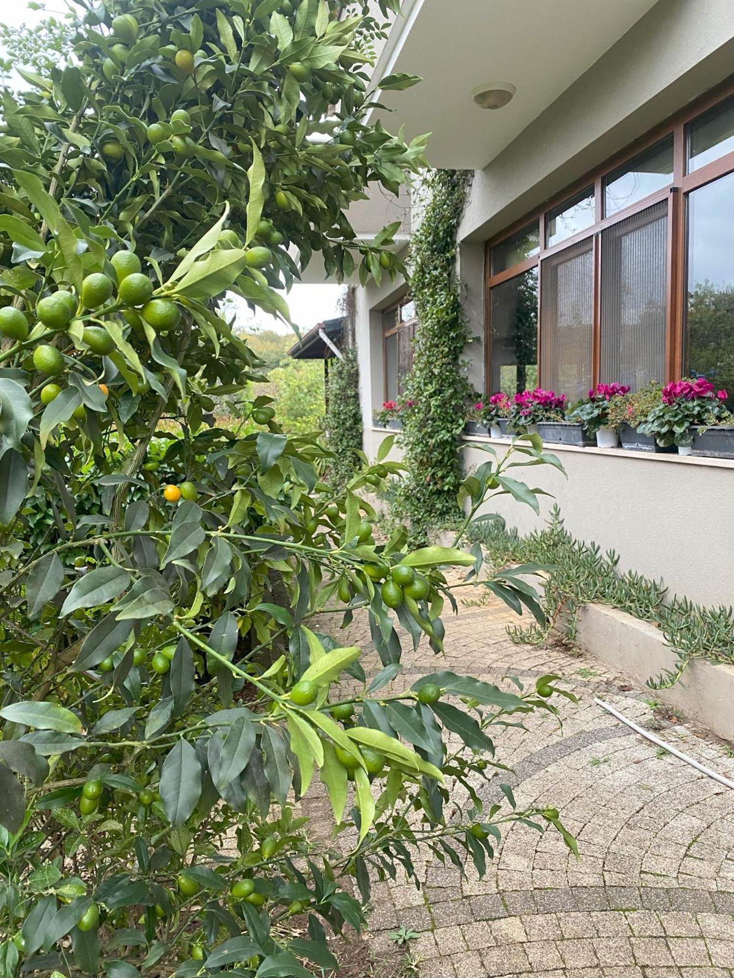 Kerpe Diem Otel Exterior photo